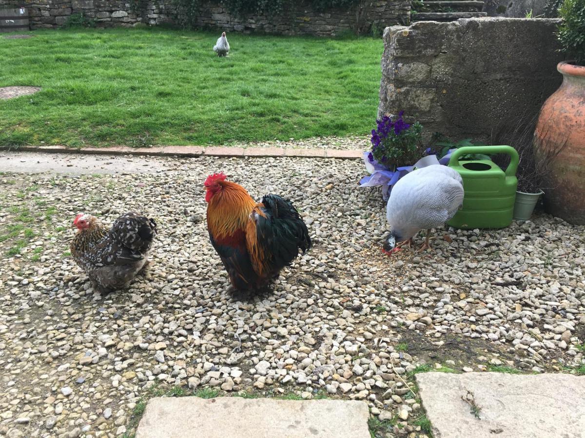 Woodcock Farm Lägenhet Bristol Exteriör bild